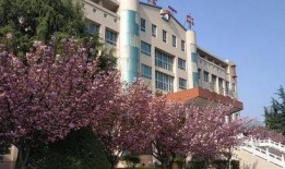 乾县一中最新爆料,揭秘校园风云背后的故事