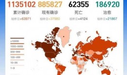 国外疫情最新爆料