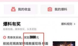 今日头条怎么写爆料信息,如何撰写引人关注的爆料信息