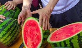 国内免费吃瓜,揭秘国内热门事件背后的真相