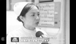 最新爆料石家庄新闻联播