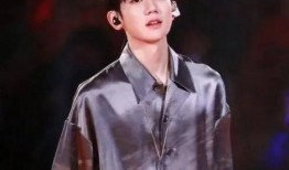 王大锤爆料王源视频,王大锤独家爆料，揭秘明星幕后故事