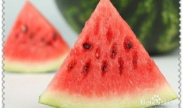 吃瓜摆烂视频下载免费,轻松获取热门内容