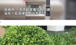 三亚新闻爆料抖音号,实时追踪三亚最新动态，揭秘幕后故事