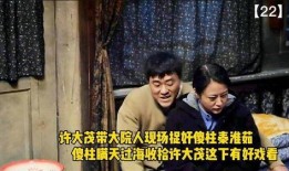 傻柱在线观看,笑料百出，温情满满的家庭喜剧之旅