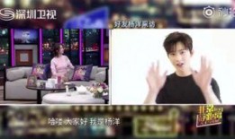 吃货大飞爆料视频,视频大放送，美食探店之旅精彩回顾