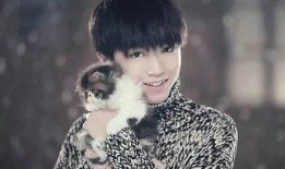 王俊凯爆料林心如视频,背后真相令人震惊