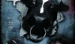 斗牛在线观看完整版,激情对决，热血沸腾的竞技盛宴