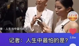 三亚新闻爆料抖音号,实时追踪三亚最新动态，揭秘幕后故事