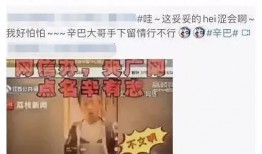 辛巴曝光爆料人信息视频,揭秘网络暴力背后的真相