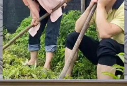 吃瓜群众娱乐八卦,吃瓜群众揭秘明星幕后故事