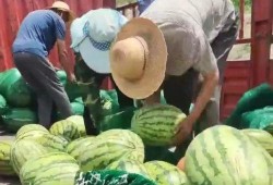 莱芜区吃瓜最新事件爆料,揭秘背后惊人真相