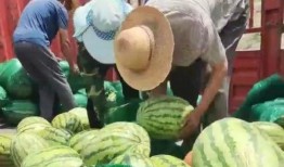 莱芜区吃瓜最新事件爆料,揭秘背后惊人真相