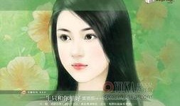 美人图在线在线观看,穿越时空的美丽邂逅