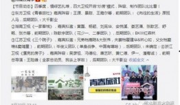 张贤亮女人爆料视频网站,揭秘背后真相与争议