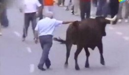 斗牛在线观看完整版,激情对决，热血沸腾的竞技盛宴