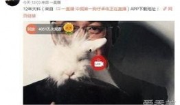 爆料完整版视频,独家爆料背后的惊人真相