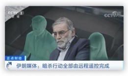 机器人爆料父亲视频,父亲温馨日常瞬间，感人视频引网友热议