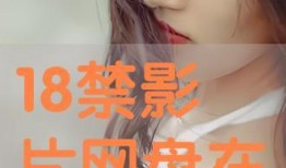 在线18观看,揭秘网络世界的青春记忆