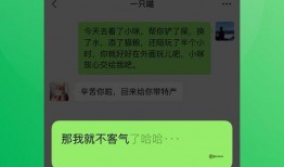 最新吃瓜微信聊天免费版,免费版微信聊天，畅享无界限的社交乐趣