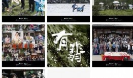 副导演爆料抖音视频,抖音幕后那些不为人知的幕后故事