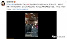 石家庄爆料家长事件视频,校园冲突背后的真相揭露