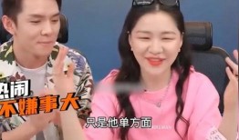 娱乐圈吃瓜直播文轩真假,轩真假瓜，揭秘明星幕后真相