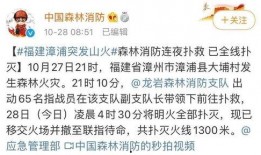 漳浦爆料新闻最新消息今天,突发事件引发关注，详情即将揭晓！