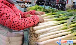 济南大葱价格最新爆料,最新市场行情揭秘