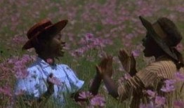 《紫色》电影在线观看,探寻女性力量与自我救赎的动人之旅