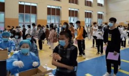 晚晴爆料头条最新消息视频,最新视频揭秘，热点事件深度解析