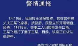 陕西家暴谁爆料的多啊最新消息,最新案例揭示家庭暴力现状