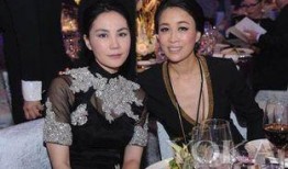 王菲酒吧爆料男友视频,酒吧狂欢夜疑云重重