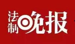 今日视线新闻爆料电话,今日视线新闻爆料电话背后的真相