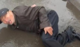 辛巴老家人爆料视频大全,独家爆料视频大盘点