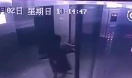 爆料电梯视频大全下载,视频大全下载背后的真实故事