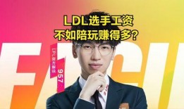 大瓜爆料视频直播,直播揭秘娱乐圈幕后真相