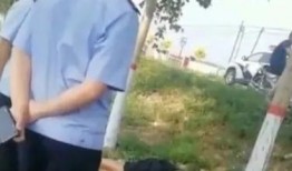 榆树今日爆料最新消息,最新动态揭秘！