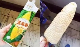 玉米雪糕爆料视频,揭秘网红爆品背后的甜蜜秘密