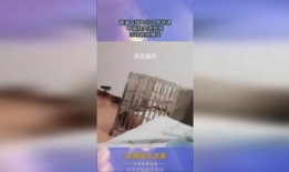 爆料被关狗笼怎么办视频,被关狗笼事件背后真相，网友爆料引发热议