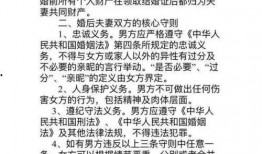 婚前协议在线观看,揭秘婚姻背后的法律与情感博弈