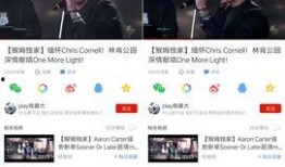 最新的爆料视频网,揭秘事件背后惊人真相！