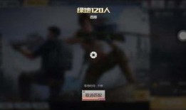 西湖玩家爆料事件视频大全,揭秘网红景点背后的真实故事