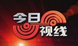 今日视线新闻爆料电话,今日视线新闻爆料电话背后的真相