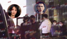王菲酒吧爆料男友视频,酒吧狂欢夜疑云重重