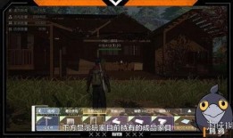 黎明觉醒庄园爆料视频在线观看,揭秘神秘庄园的奇幻之旅