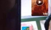 猪瘟最新爆料消息视频,揭秘病毒传播途径及防控措施