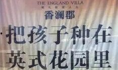 房产最新爆料文案,揭秘最新爆料，带你领略房产市场新风向