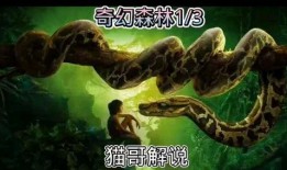 奇幻森林超清在线观看,超清在线观看，探索神秘森林的奇幻之旅